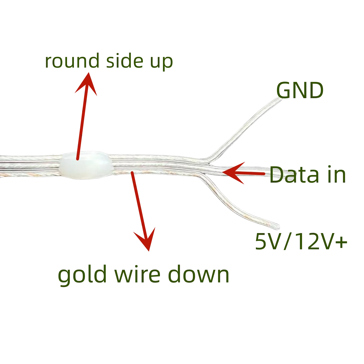 12V Seed Pixels (10m at 10cm spacing)